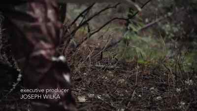 [leaves crunching] - Vanished in Yosemite