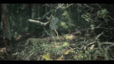 [leaves rustle] - Eden