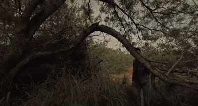 (Leaves rustling) (Gentle, cheery music) - Haunted Valley