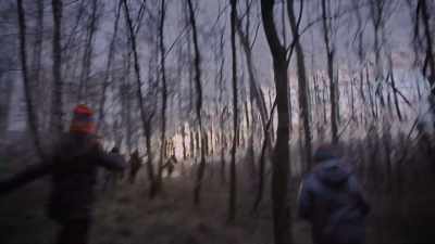 (LEAVES RUSTLING) - Absentia