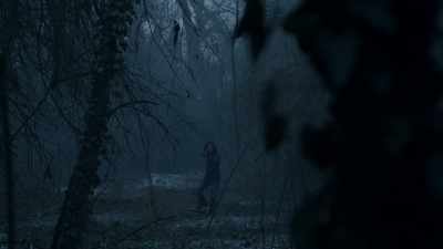 (LEAVES RUSTLING) - Absentia