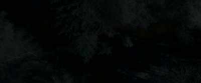 [Leaves rustling] - Daddy's Head