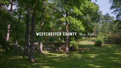 (leaves rustling) - Trees and Other Entanglements
