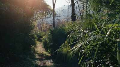 (leaves rustling) - Loving Highsmith