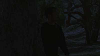 (leaves rustling) - Wolf Mountain