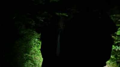 [leaves rustling] - Expedition Bigfoot