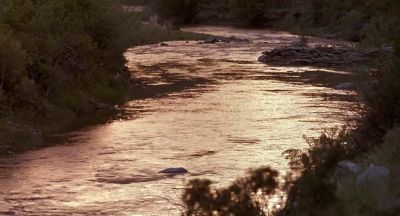 Leaving the woods to old men and boys - A River Runs Through It