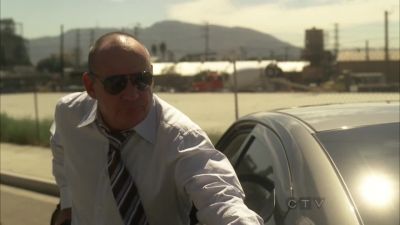 Lee Devries!
Las Vegas Police! - CSI: Crime Scene Investigation