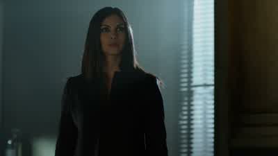 Lee. Hey. It's good to see you. - Gotham