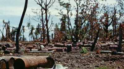 Left to wither on the vine. - The Pacific War in Color