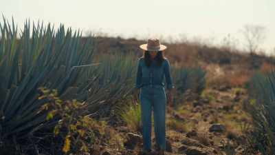 Legend goes that when
16th-century Spanish rulers - Eva Longoria: Searching for Mexico