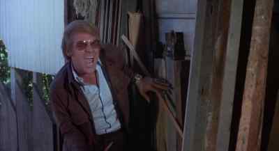 Len... Lennie! - The Organization