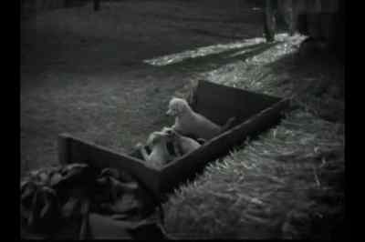 Lennie... - Of Mice and Men
