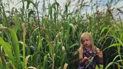 Leo: Sorghum is just--it looks - Through Our Eyes