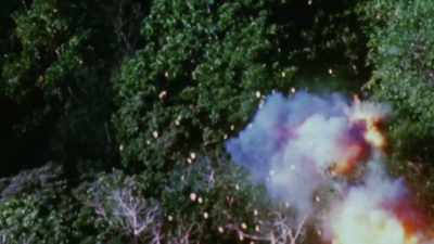 
LESLIE GELB: - The Vietnam War