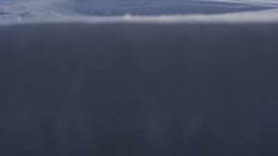Less than a metre
below the surface - Frozen Planet II