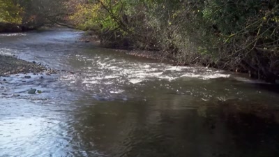 Less than an hour after Logan
went missing, - Killers: Caught on Camera