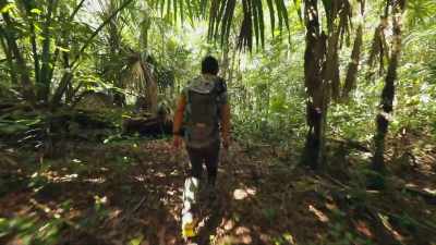 Less than four miles
from the center - Lost Treasures of the Maya