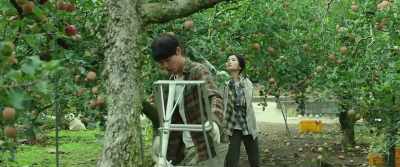 Lesson learned for a newbie farmer. - Little Forest