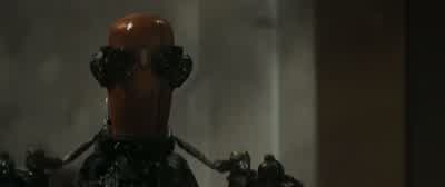 Lesson number four: Use your initiative. - Finch