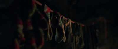 Lesson ten... Keep your socks dry.
That's a great one. - Love and Monsters
