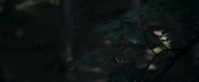 Let someone be in.
Let someone be in. - A Dark Song