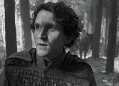 Let every soldier hew him down
a bough and bear it before him. - The Tragedy of Macbeth