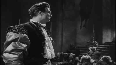 Let four captains bear Hamlet
like a soldier to the stage. - Hamlet