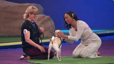 Let me get a really good look
at that underbite. - 2022 American Rescue Dog Show