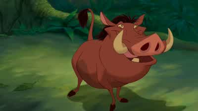 How do you Whoa whoa Time out Let me get this straightYou know her she knows youBut she wants to eat him and everybody's okay with thisDid I miss something Relax Timon - The Lion King