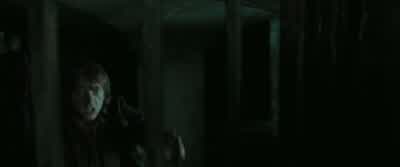 - Let her go. - Harry Potter and the Deathly Hallows: Part 1