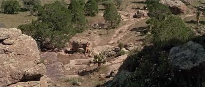 Let me guess which one's your friend - The War Wagon