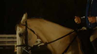 Let your hands be easy.
I can't get my balance. - Taking the Reins