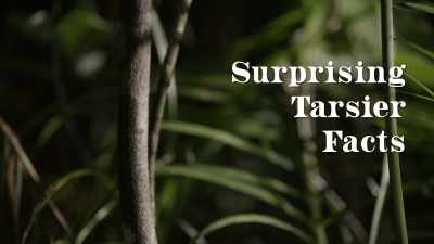 Let me just ‐‐
[ Groaning ] - When Nature Calls with Helen Mirren