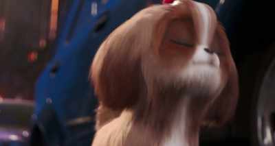 Let me know when you finish
tooting your horn, - The Secret Life of Pets 2