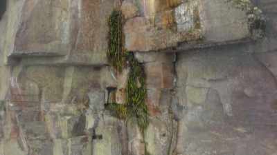Let me know if you've come across
anything sketchy. - Explorer: The Last Tepui