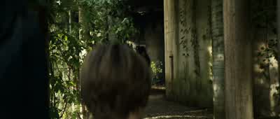 Let me deal with this. - Real Steel