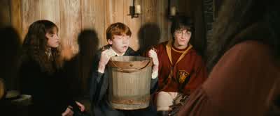 Let me kill you. - Harry Potter and the Chamber of Secrets
