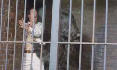 Let me out! - Carry On Emmannuelle