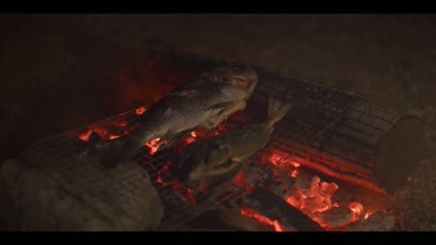 Let me play the song
that's best for campfires. - Chasing Waves