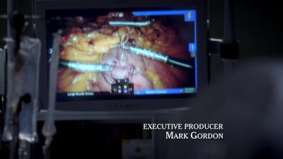 Let me retract that small bowel - Grey's Anatomy
