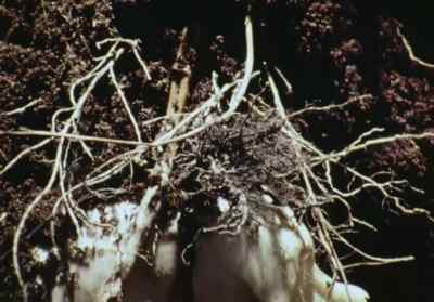 Let me see you arch
your back a bit. - Death Bed: The Bed That Eats