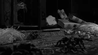 Let me see it! Let me see it!
What is it? - Spider Baby