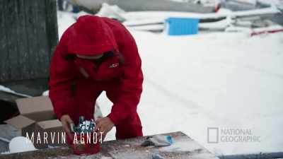 Let me see what these are, - Life Below Zero: First Alaskans