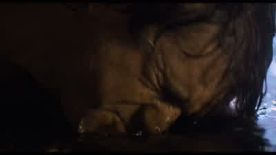 Let them take him! - Lethal Weapon