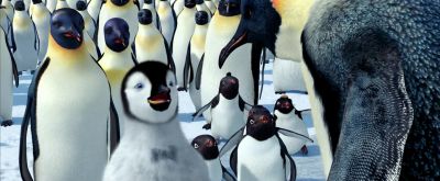 Let me tell something to joo - Happy Feet
