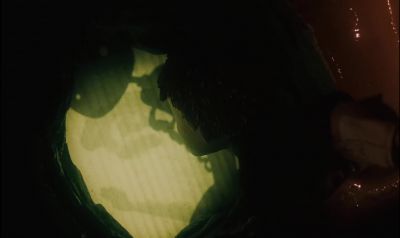 Let the biddies come - James and the Giant Peach