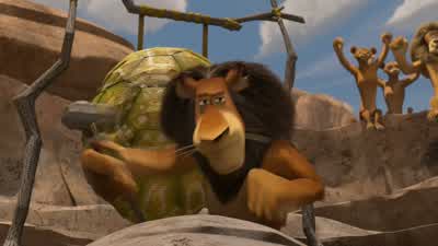 Let us begin the rite of passage ceremony. - Madagascar: Escape 2 Africa