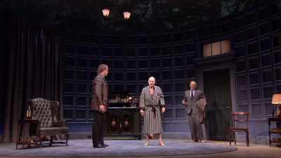 Let us change the subject.
For the last time - National Theatre Live: No Man's Land
