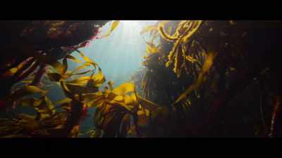 ? Let water pass over peat
under the bird ? - Billy & Molly: An Otter Love Story